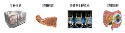 /uploads/image/2021/05/28/20210528164141_blob.png blob.png