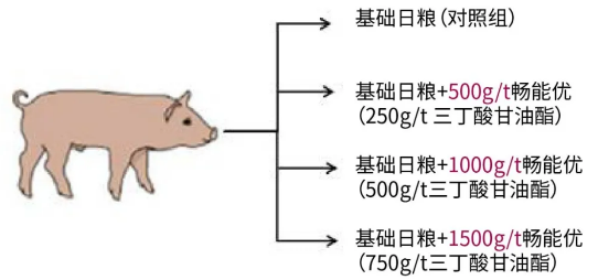 /uploads/image/2021/05/28/20210528443533_blob.png blob.png
