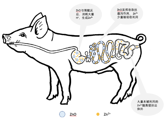 /uploads/image/2021/05/28/20210528615300_blob.png blob.png